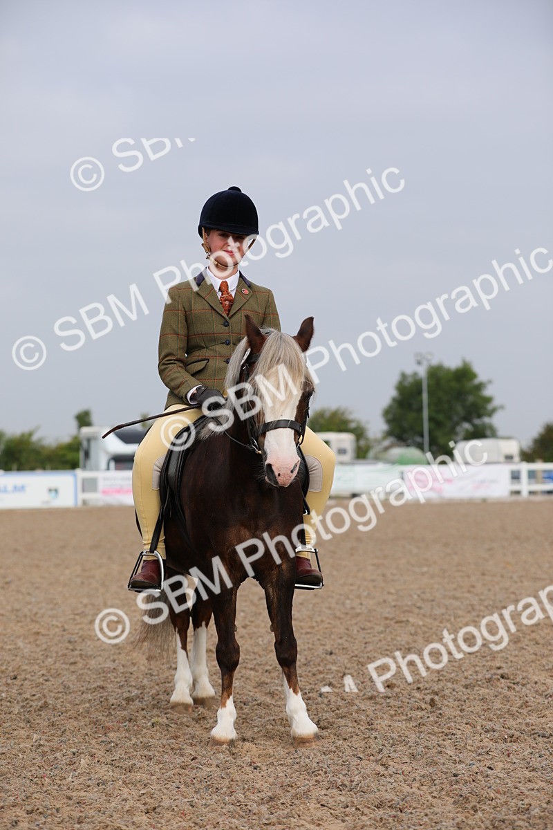 SBM_09666 - Class 301 Ridden M&M -Small Breeds
