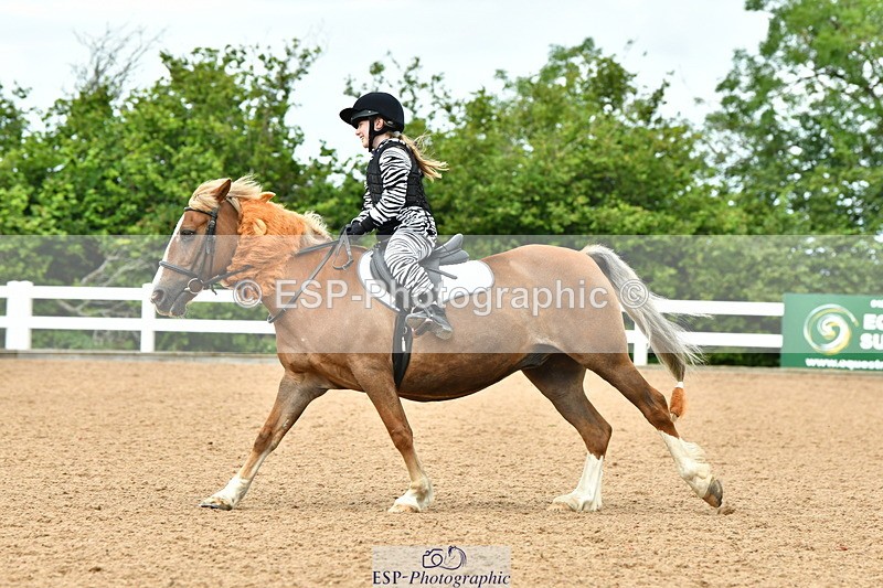 230804A-105917-02095 - Musical Ride