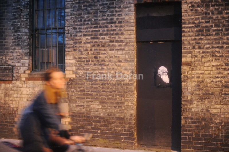 EL 3 - Frank Doran