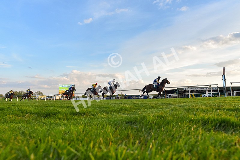 300424-Race 6-Kodi Lion-4251 - Race 6