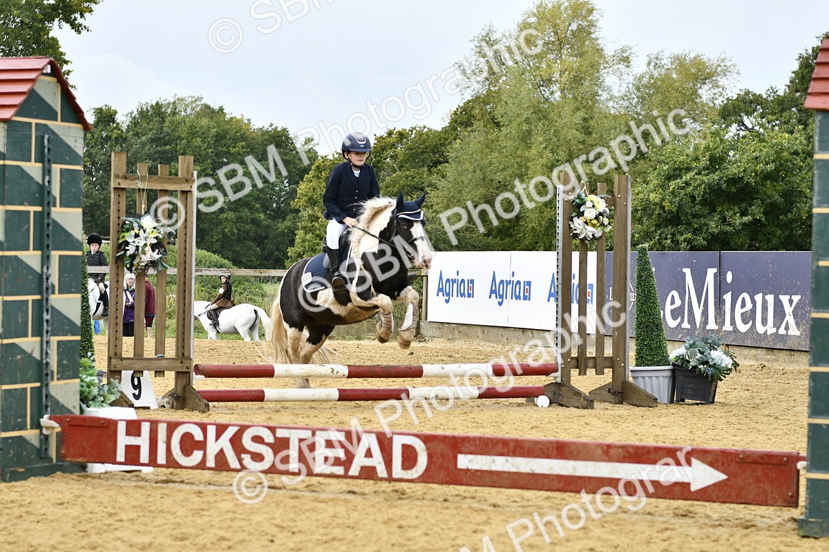 SBM_57232 - J61 - Mini Clear Round 30cm & 40cm