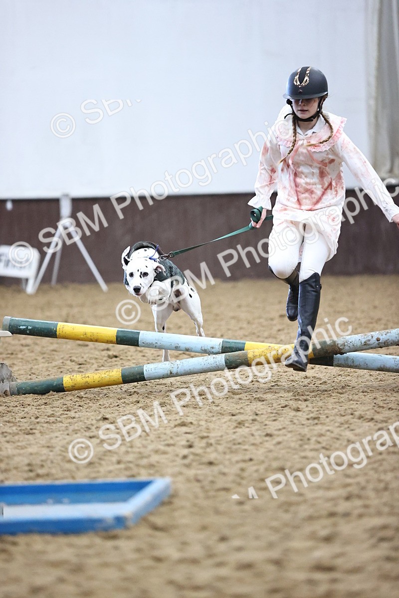 SBM_001492 - Class 3 - Horse & Hound 60cm