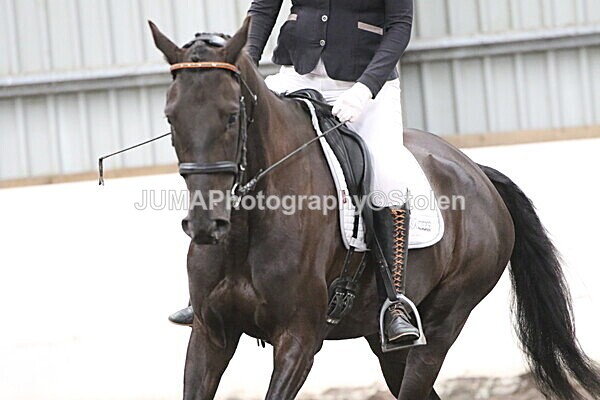 SIAL5360 - CAbin Dressage 5th july 2025