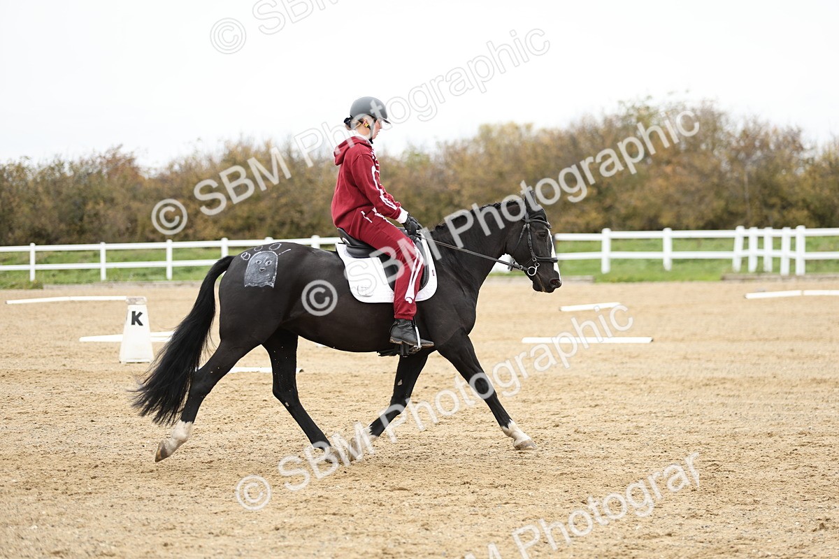 SBM_003708 - Class 9-12 - Novice 2 Elementary 3
