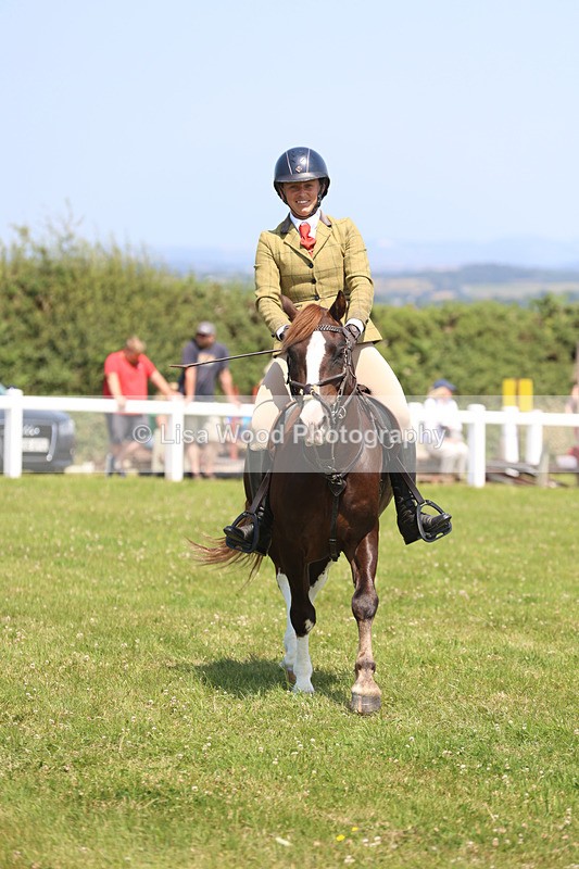 JPP_3032 - Class 22: Working Hunter 70cm