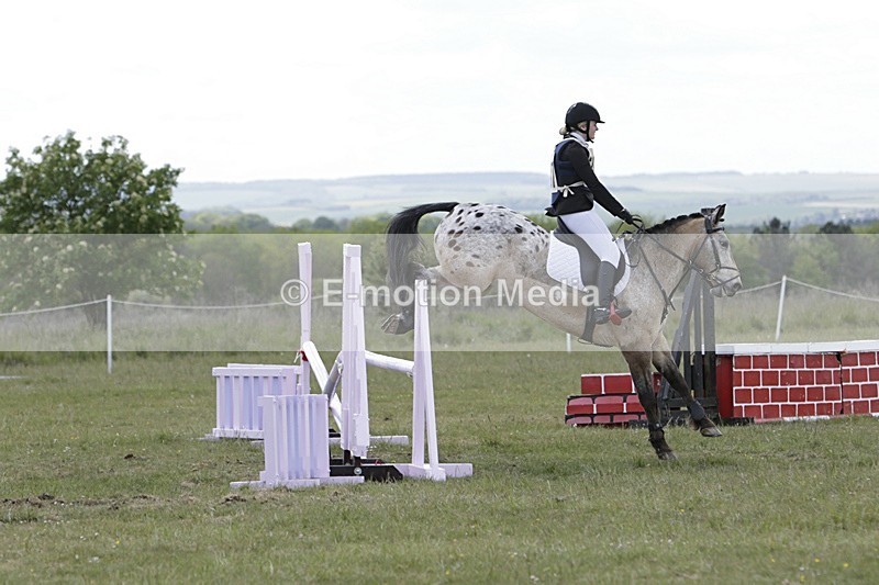 BVHT 140517 N-371 - Class 2 SJ Novice 14/05/17