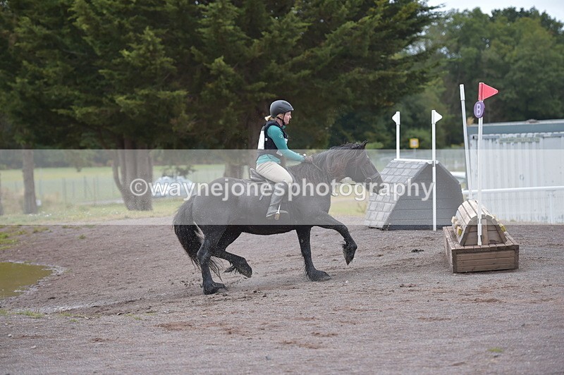 NGP_2822 - XC Time 11:37 to 11:57