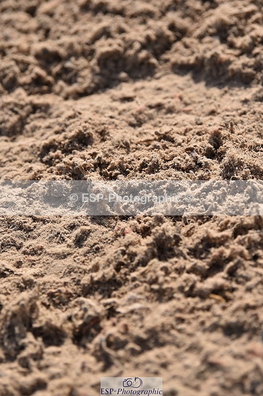 231015A-121316-07927 - Cls 24 85cm Amateur Q