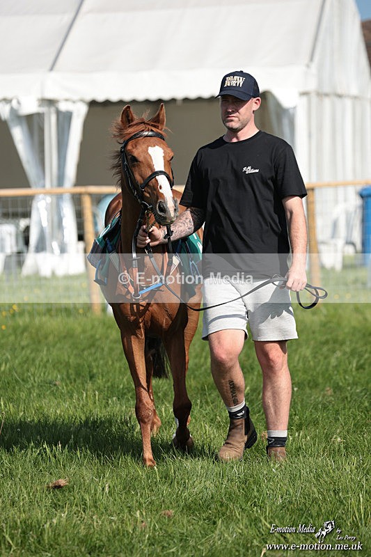 PR 250526 44 - Pony Racing from Chaddesley Corbett 25/05/26