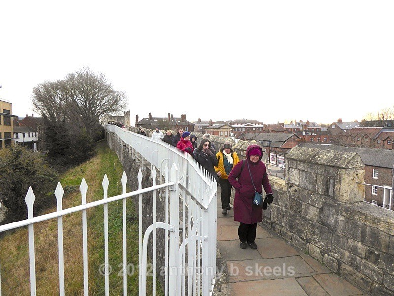 002 A wall full of good walkers - York Minster Walkers Collection 2026
