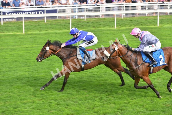 yr05092021r4-28 - Race 4 3.45pm Coopers Marquees British EBF Future Stayers' Novice Stakes