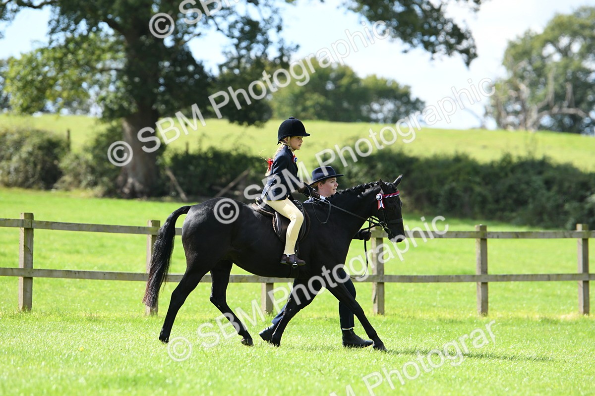 SBM_41144 - S19 - Lead Rein Show & Show Hunter Pony