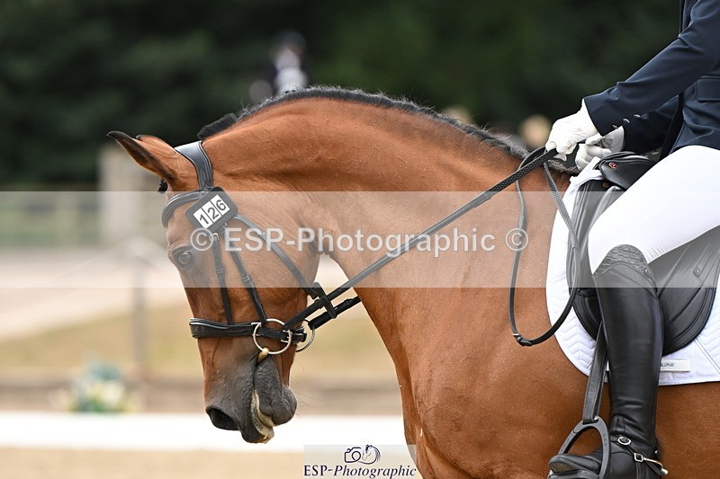 250808A-112004-00579 - 126-Isabella.Hathaway-Monahawk.Dancing.Melody