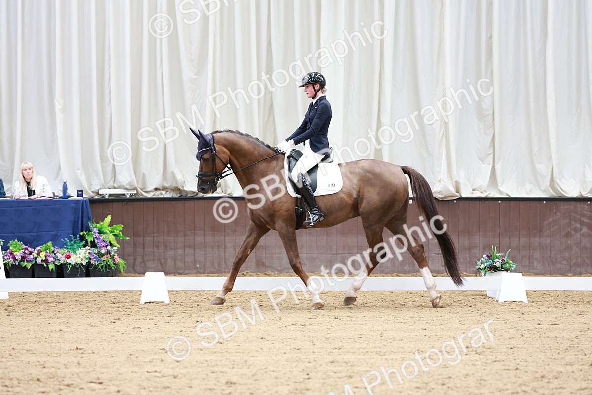 SBM_017713 - Class 15 - FEI Junior
