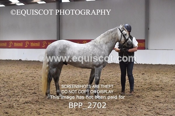 BPP_2702 - LOOSE JUMPING / SPSS