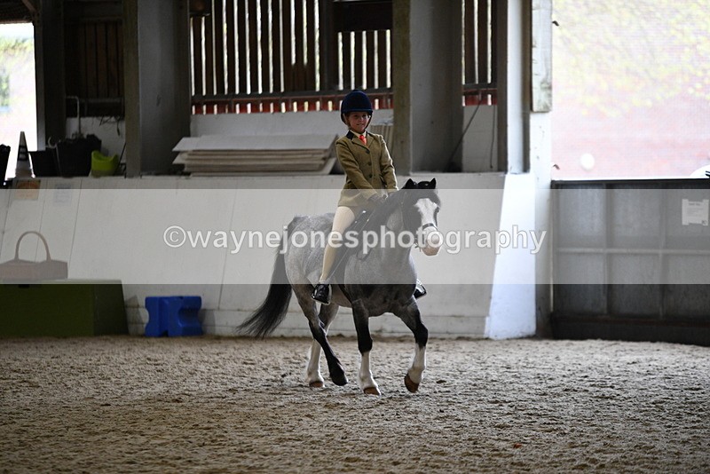 WJ5_6870 - Class 10 Childs Pony