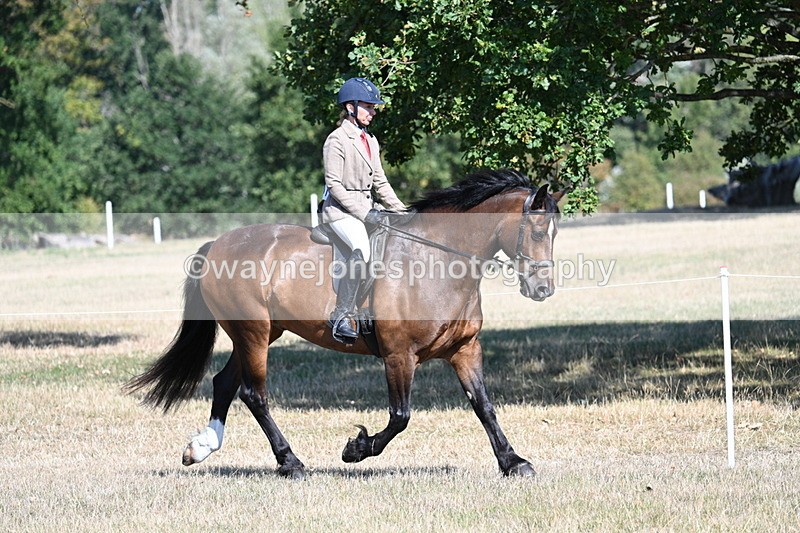 WJ7_3884 - Class 9 Mountain & Moorland Ridden