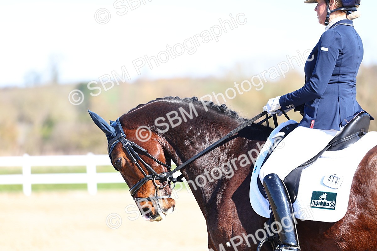 026A8428 - Class 5 - Novice 5