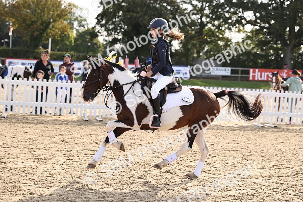 SBM_59797 - J11 - Junior Pony 50cm Championship