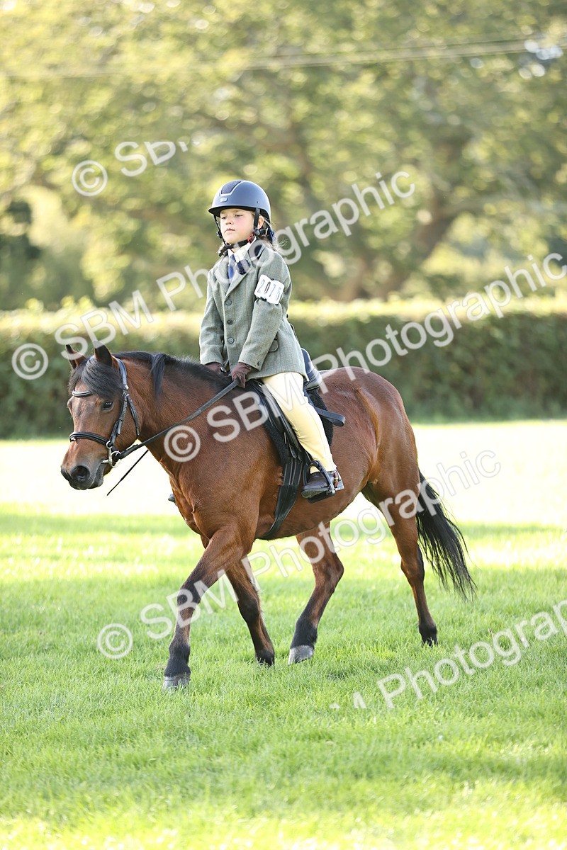 SBM_29354 - S7 - Novice & Newcomers Ridden Pony