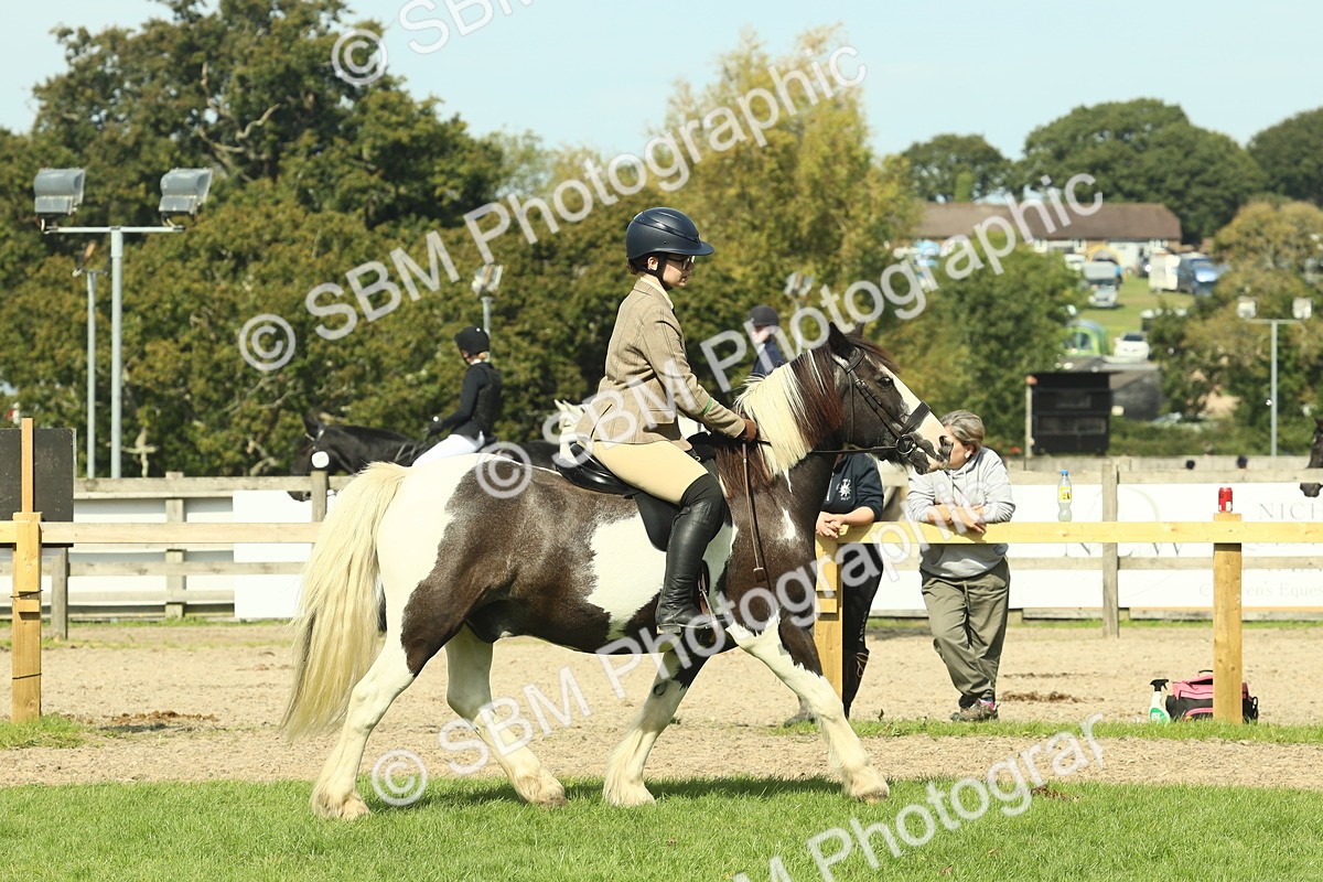 SBM_67517 - S56 - Coloured Pony Ridden