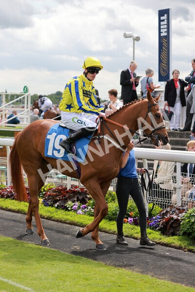 yr21052022r2-18 - Race 2: 2:20pm William Hill Bet Boost Stakes