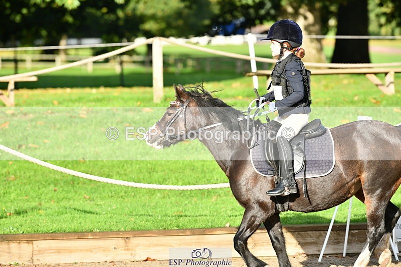 251004A-092409-00156 - Classes 1-2-3 40cm