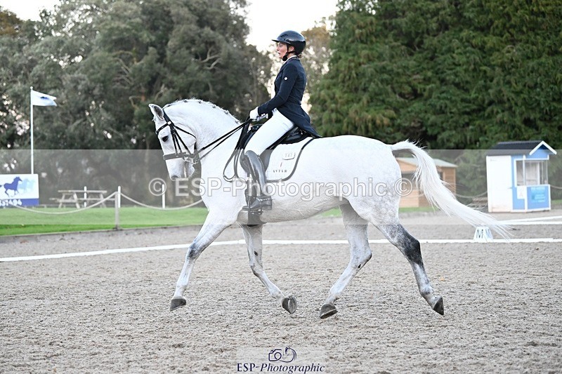 231110-162612-02611 - Cls 14 FEI Grand Prix