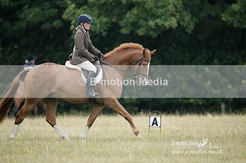 BVRC 030721 4 - Bourne Valley Riding Club Dressage 03/07/21