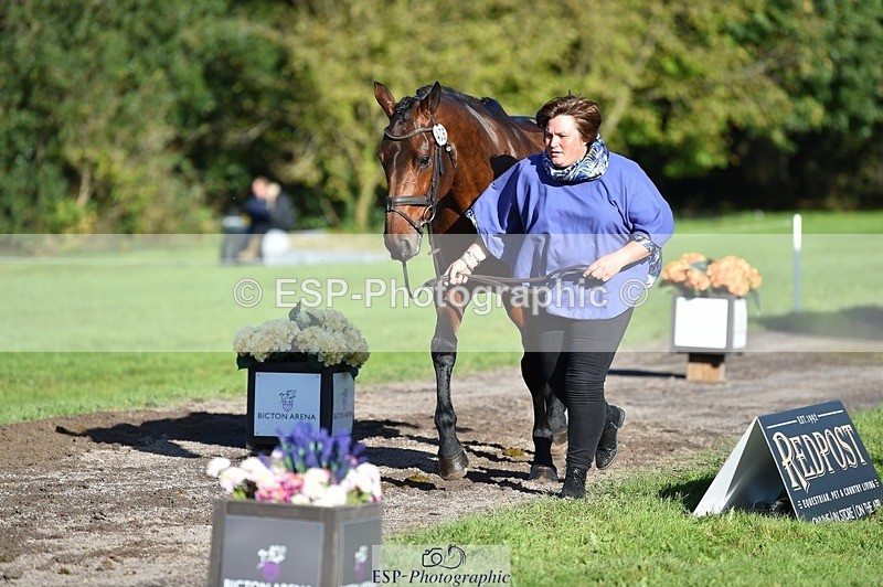 231022-105622-23601 - 406-BALLYCREEN.MILADY-Georgina.Brown-TrotUp+SJ