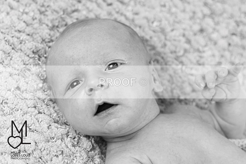 DSC_7275portfolio - Newborn Photoshoots