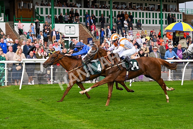 280824-Race 5-Hidden Pearl-4791 - Race 5