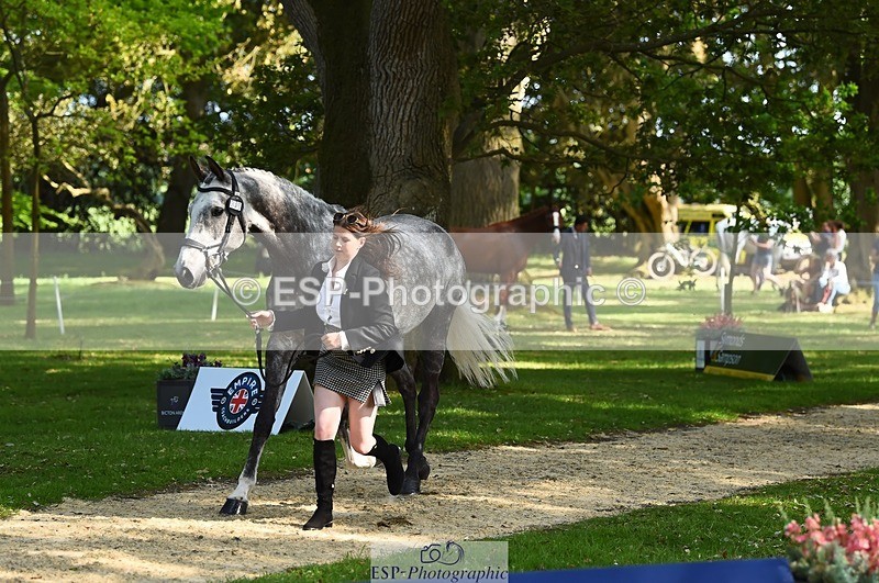 230524-170234-01248 - 130-CFH_DAKAR_HILL-Millie_Juleff-WEDTrotUp+DR