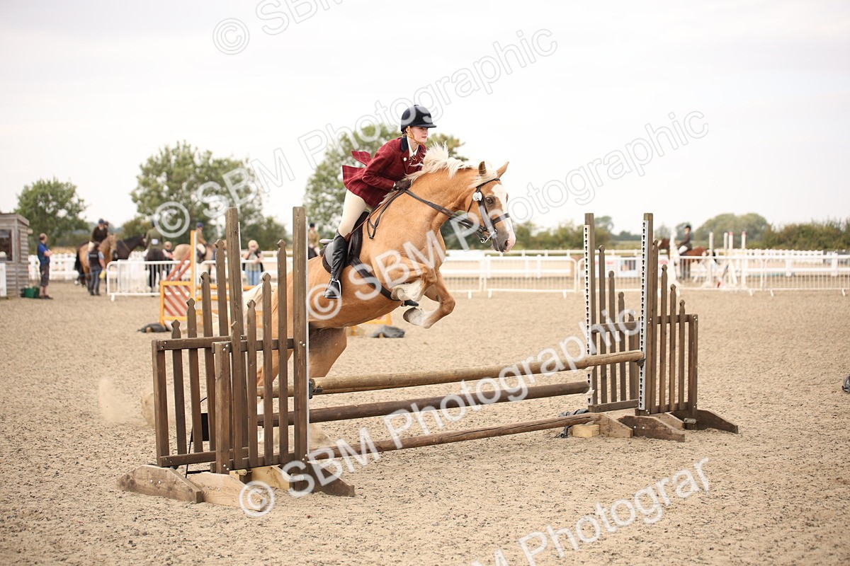 SBM_16200 - Class 409a - Working Veteran 80cm (15-19)