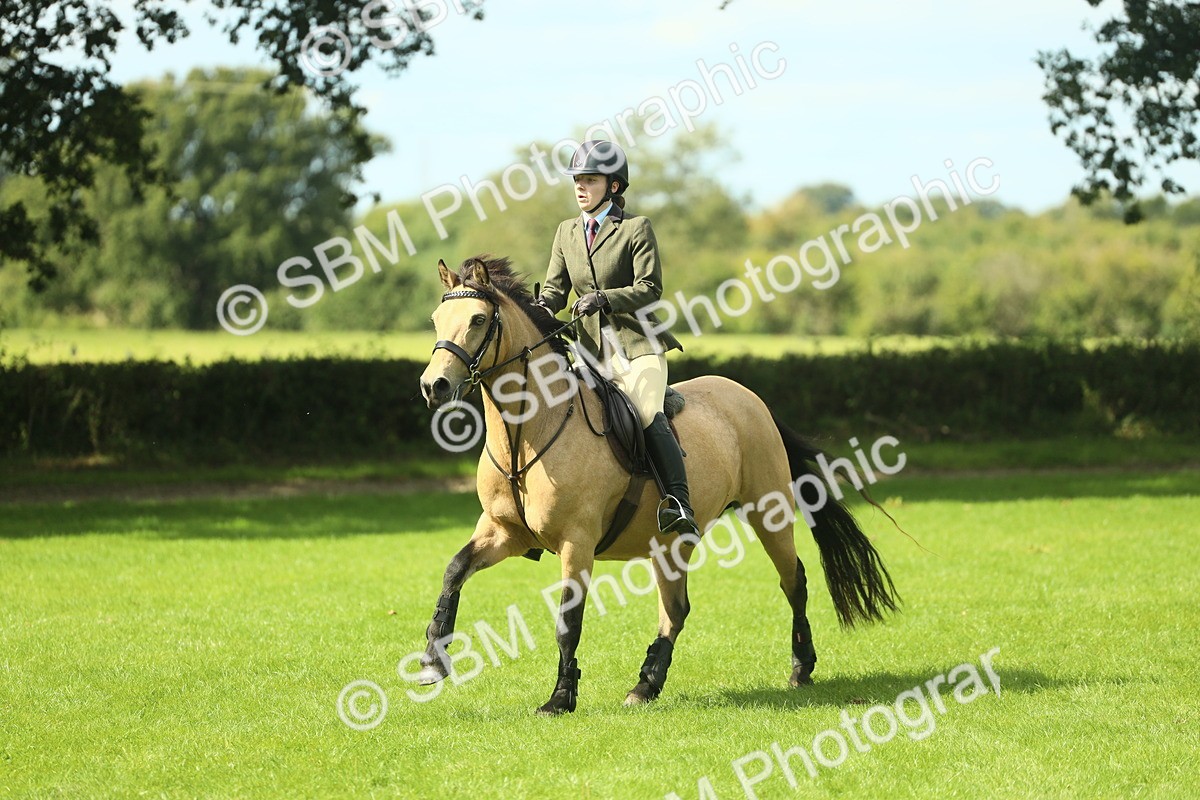 SBM_42859 - S30 - M&M Working hunter Pony