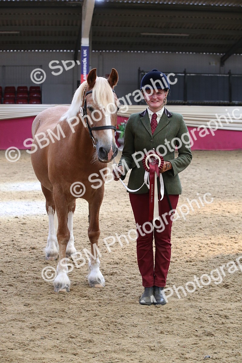 SBM_05433 - Class 8R - Regional IH Veteran