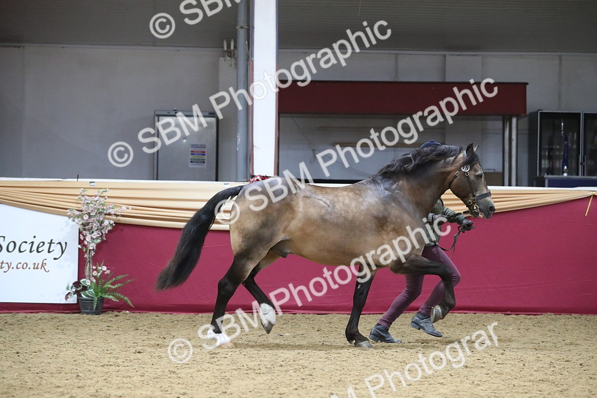 SBM_17176 - M&M Supreme Final Champ