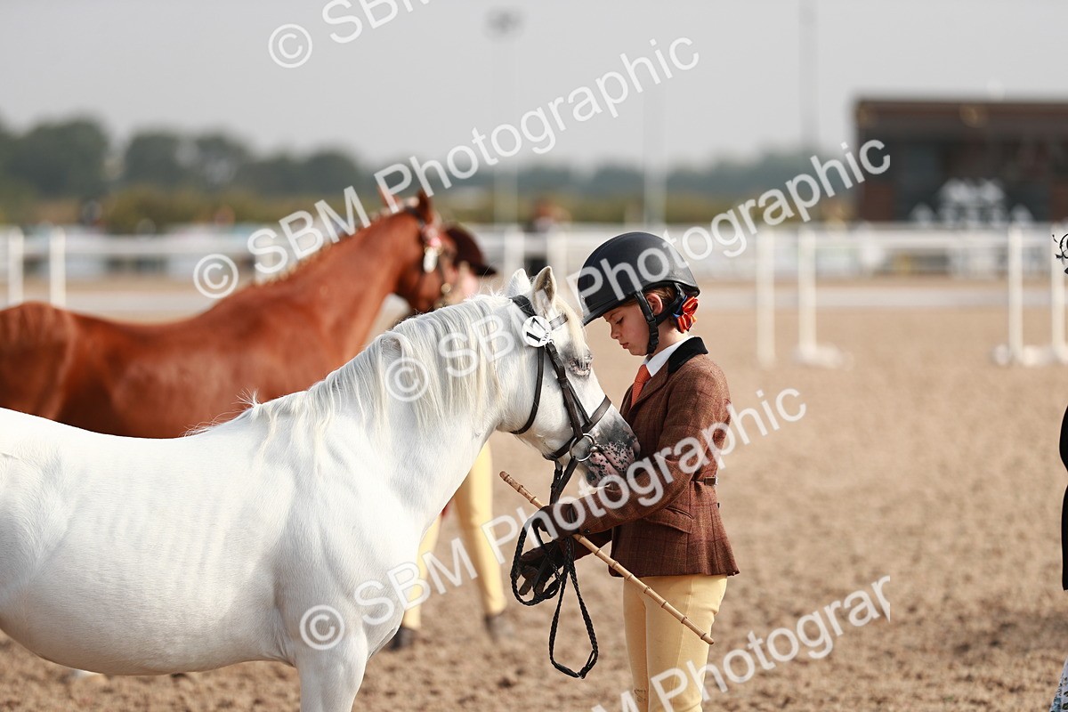 SBM_09905 - Class 203 Young Handler, 10 years and under