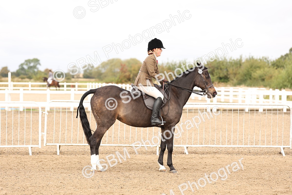 SBM_01540 - Class 52 - Ridden Veteran