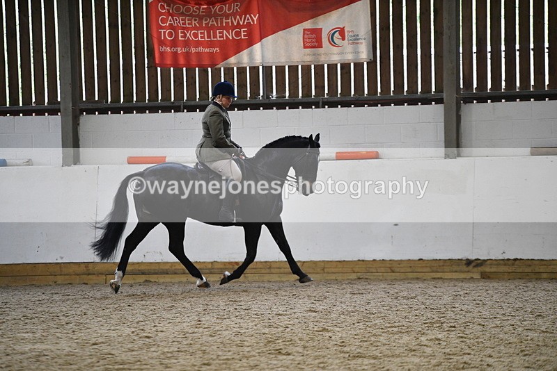 WJ5_7808 - Class 13 Ridden Part Breed
