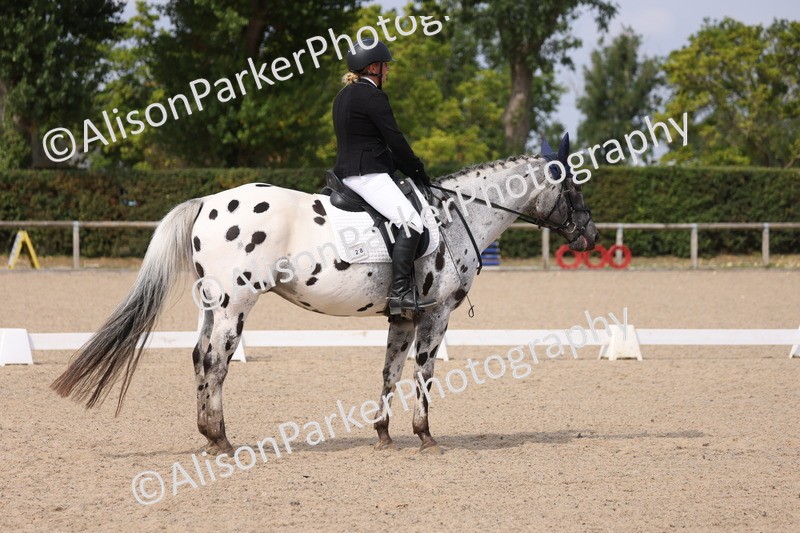 20250819-1603 - Class 5 - Novice 3