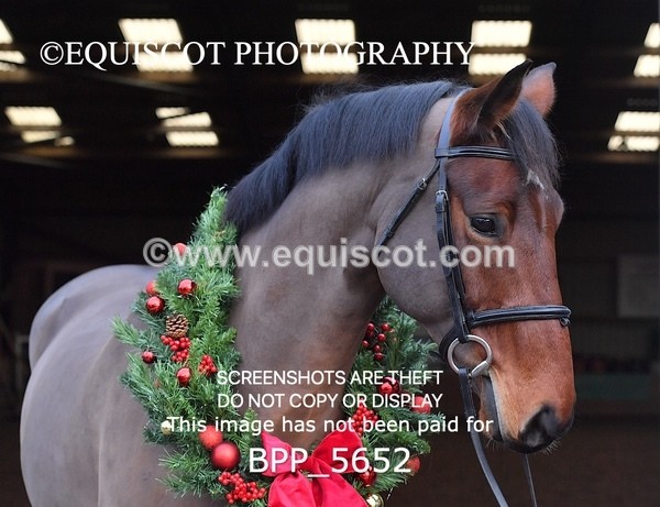 BPP_5652 - Imogen Gray