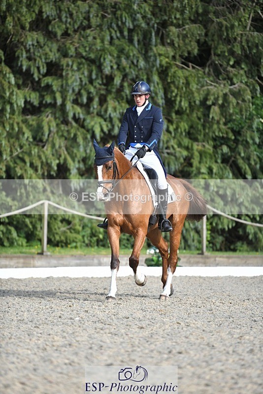 230525-175010-03608 - 131-FORTSIDE_COBRA-Freddie_Carden-WEDTrotUp+DR