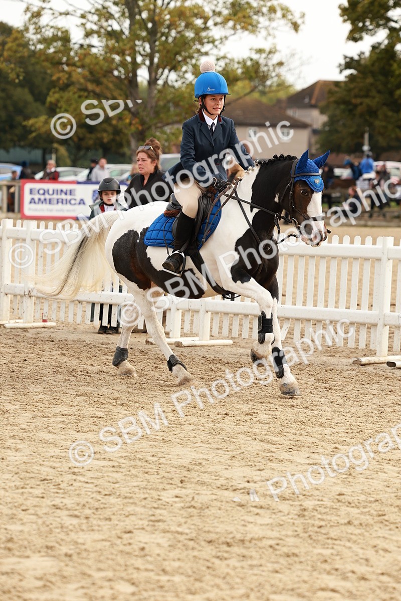 SBM_57696 - J11 - Junior Pony 50cm Championship