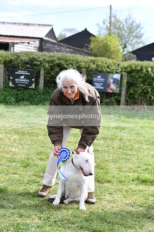 WJ5_0634 - Class 7 Best Terrier