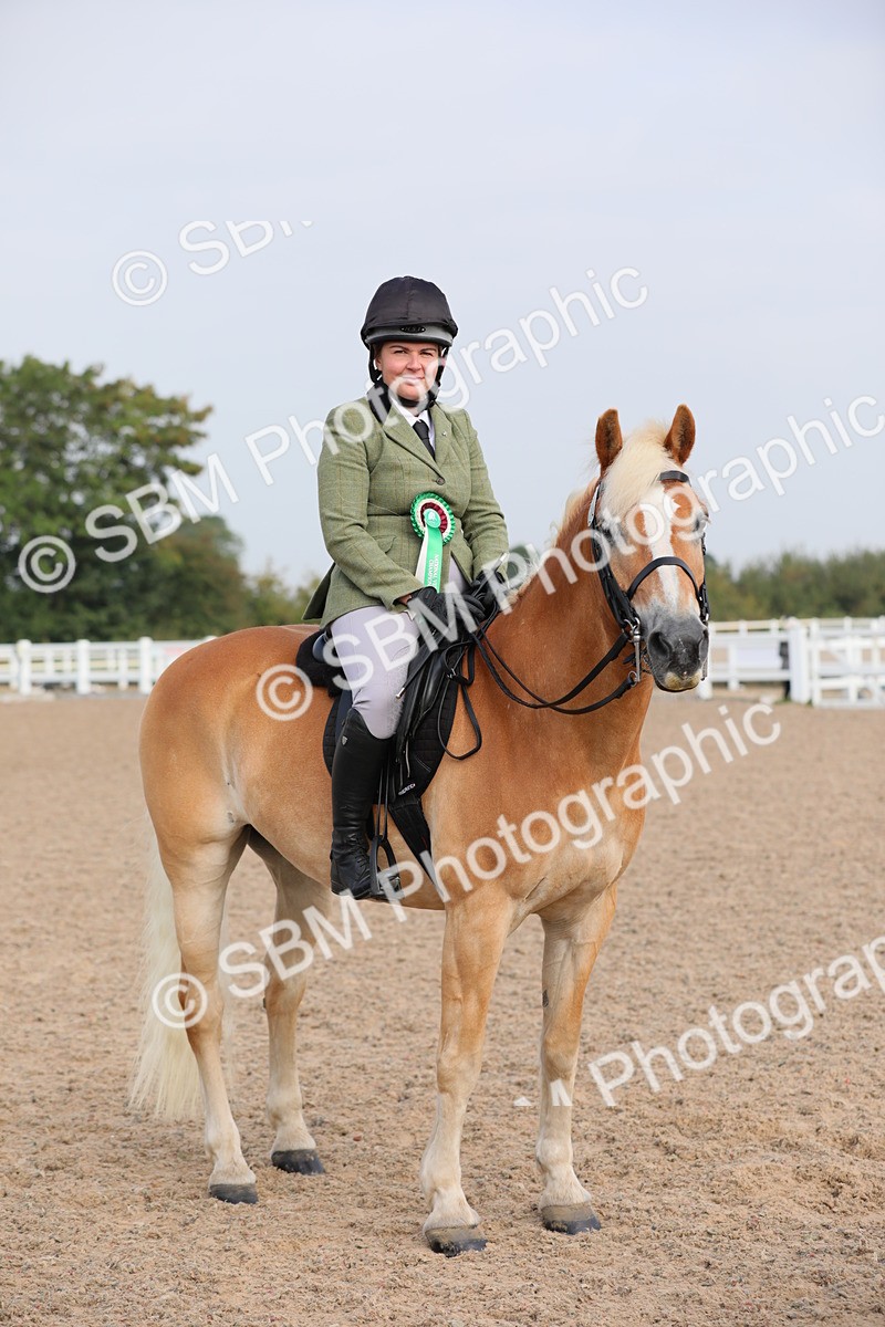 SBM_10740 - Class 303 Ridden Pure Bred Horse/Pony (excl M&M)