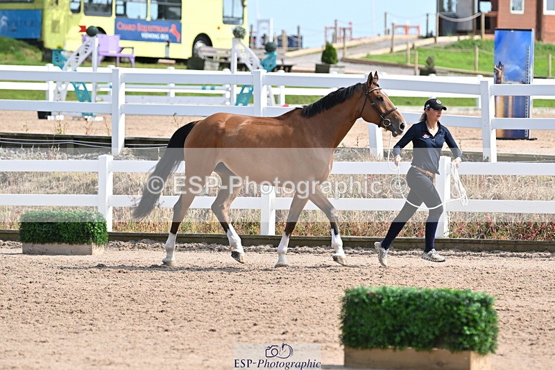 240717A-160136-03263 - Trot Up 4pm to 5pm