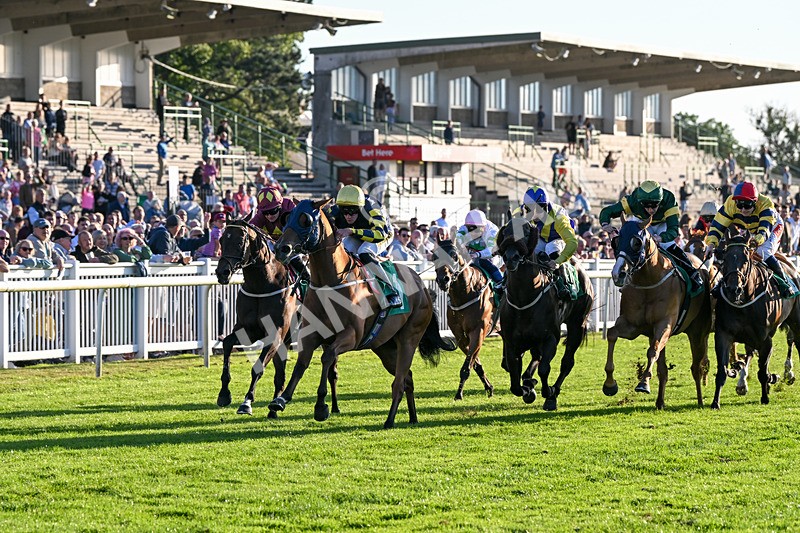 160824-Race 5-Ready Freddie Go-9566 - Race 5