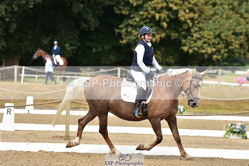 250719A-102250-03650 - 086-Alison.Nicoll-Moondust