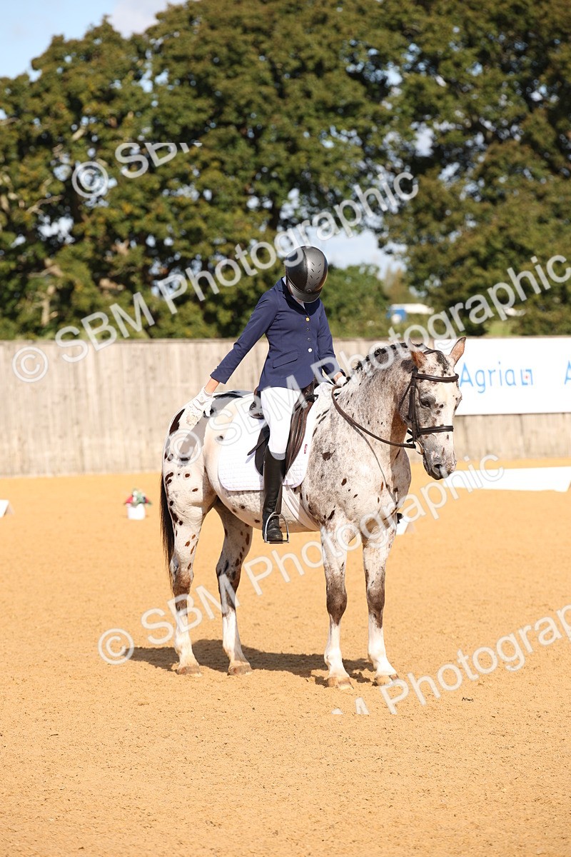 SBM_01964 - D2 Small Tour Championship Intro C